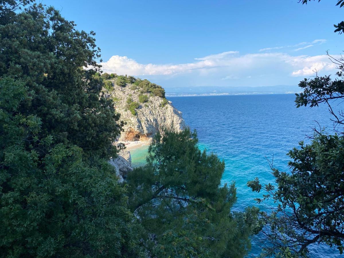 Holiday Home Istra بلومين المظهر الخارجي الصورة